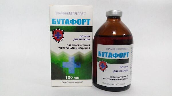 Бутафорт