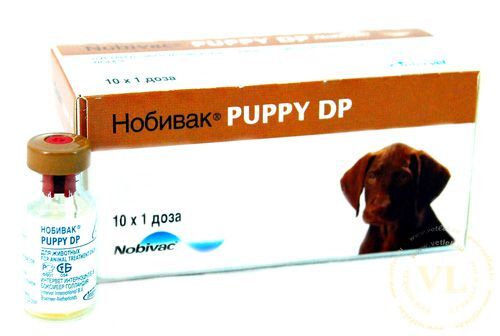 Нобівак Puppy DP жива 1 д.