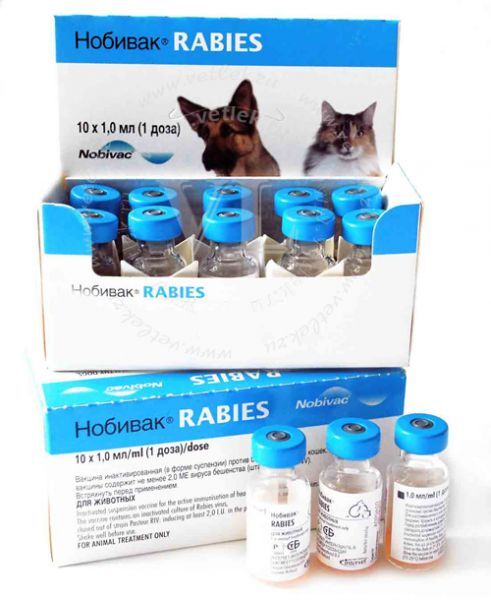 Нобивак Rabies инак. 1 доза