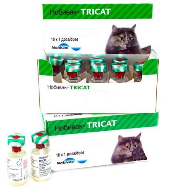 Нобивак Tricat Trio живая