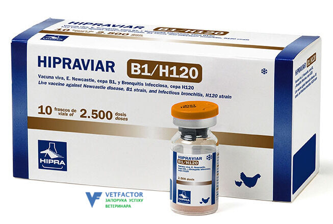 ХИПРАВИАР B1 - H120