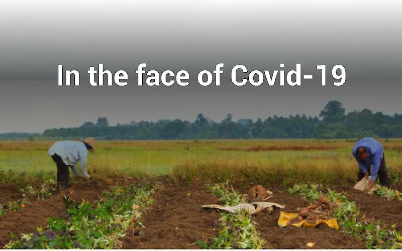Агкомпаніі сприяють боротьбі з Covid-19