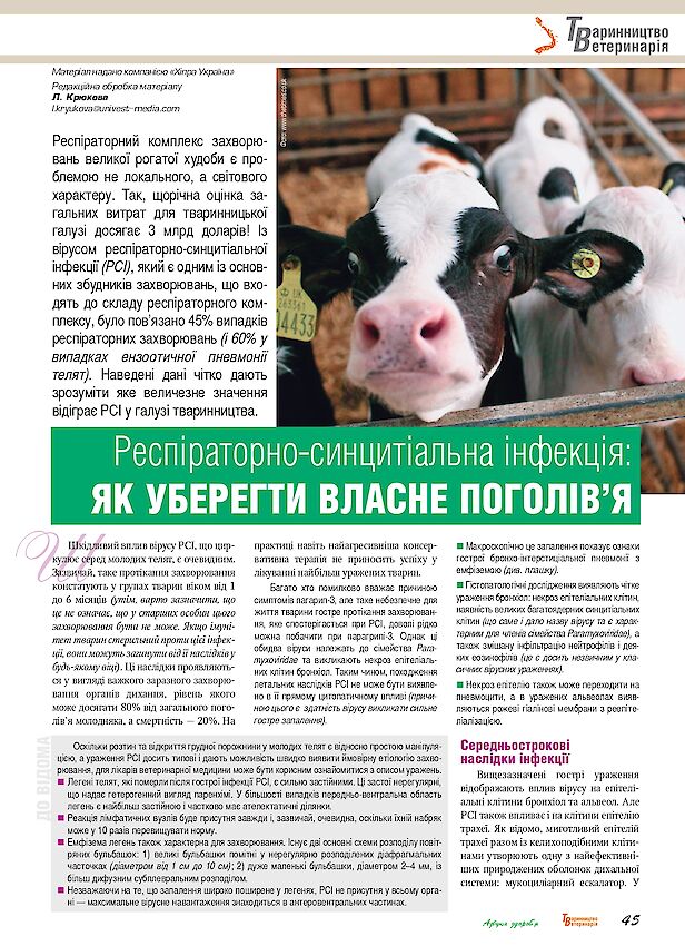 Респіраторно-синцитіальна інфекція: як уберегти власне поголів'я