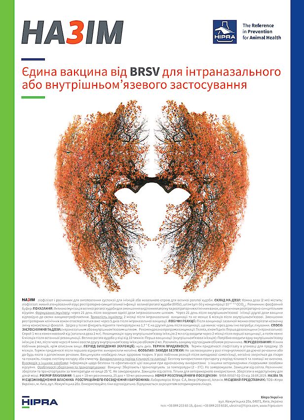 Респіраторно-синцитіальна інфекція: як уберегти власне поголів'я