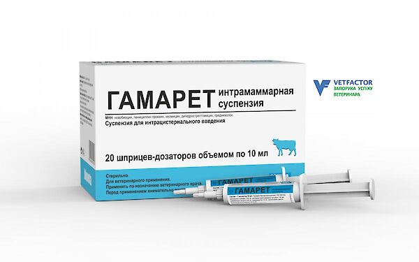 Гамарет