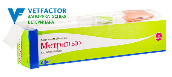 Метринью