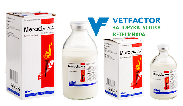 Мегасіл ЛА
