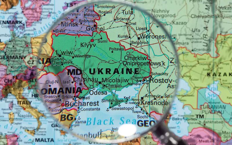 Експорт м'яса птиці з України досяг майже $1 млрд у 2024 році