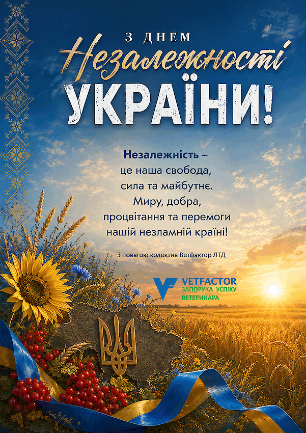 З Днем Незалежності України!