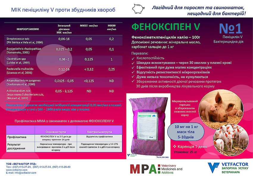Боротьба з S. suis має вирішальне значення для скорочення використання антибіотиків